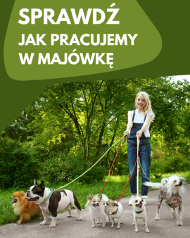 Jak pracujemy w majówkę