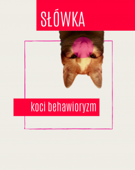 SLOWKA